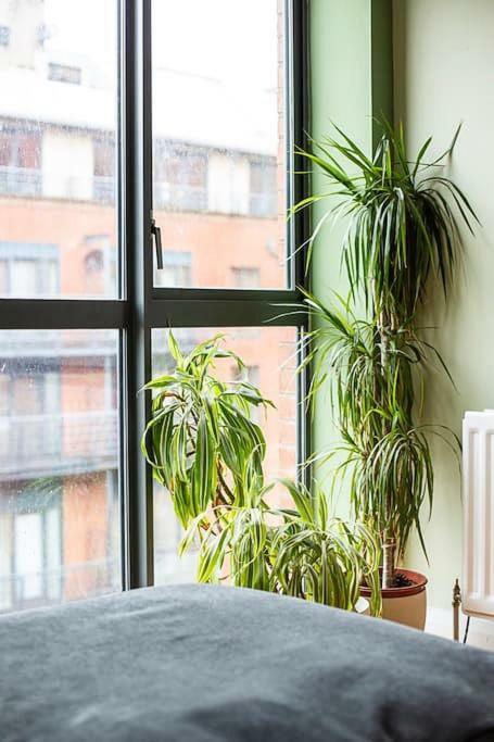 Spacious Belfast City Centre Duplex Apartment Ngoại thất bức ảnh