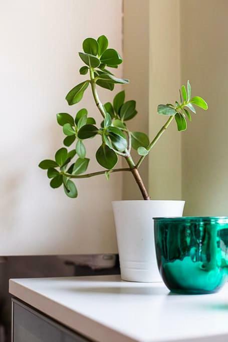 Spacious Belfast City Centre Duplex Apartment Ngoại thất bức ảnh